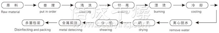 脫水蔬菜帶式幹燥工藝流程