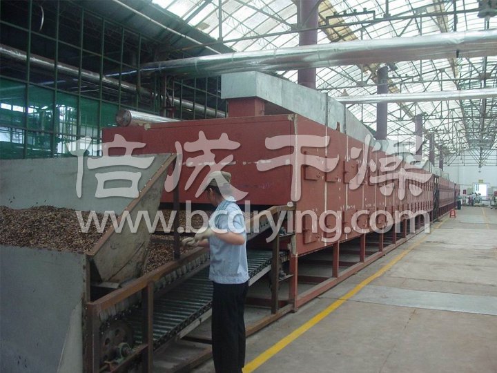 DWC係（xì）列脫水蔬菜帶式（shì）幹燥（zào）機
